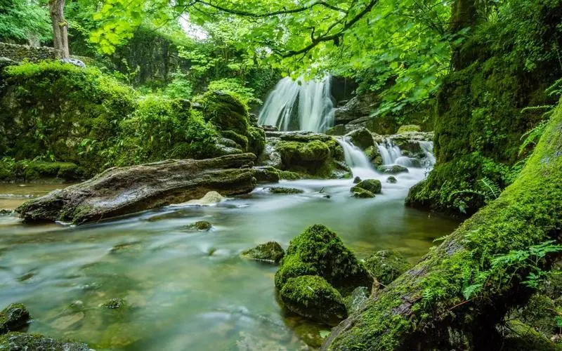 高性能高性能科技